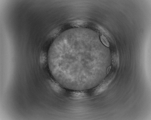 X0000116350284200912091136