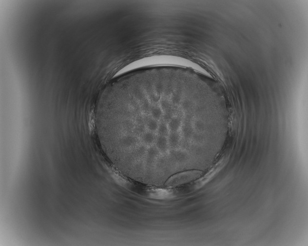 X0000116350285200912091136