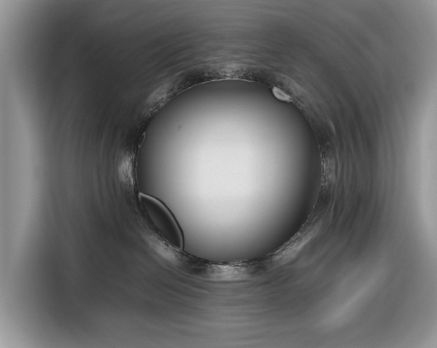 X0000116350286200912091136