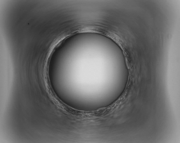 X0000116350289200912091135