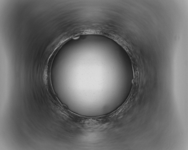 X0000116350290200912091135