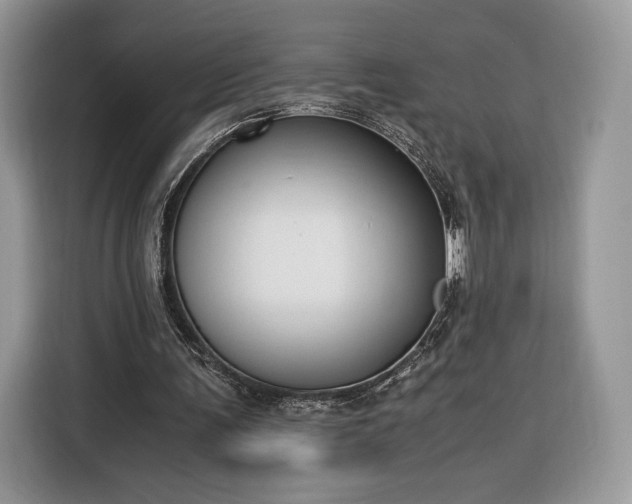 X0000116350291200912091135