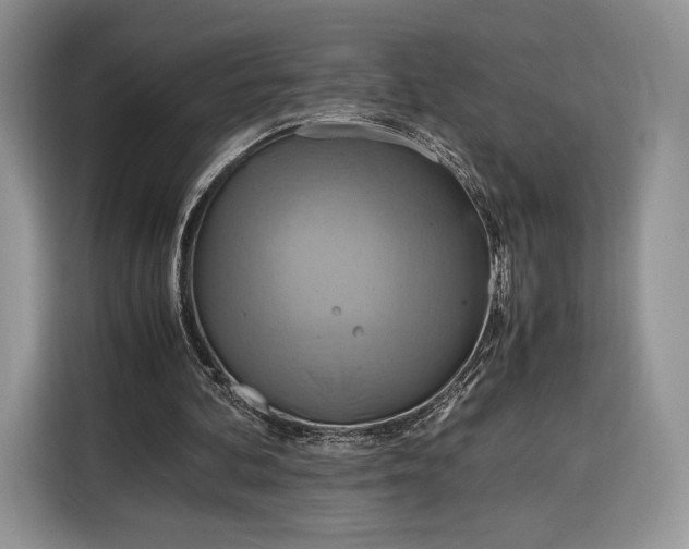 X0000116350292200912091135