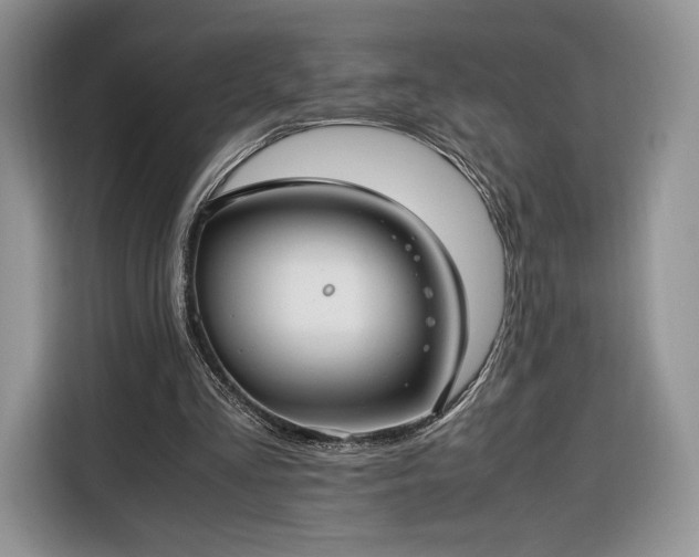 X0000116350293200912091135