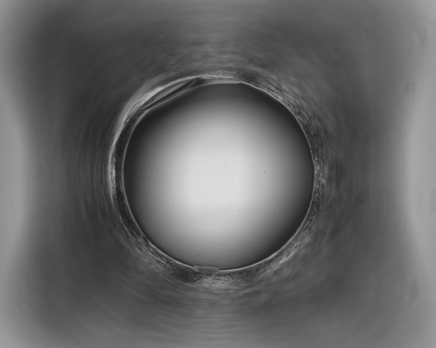 X0000116350294200912091135