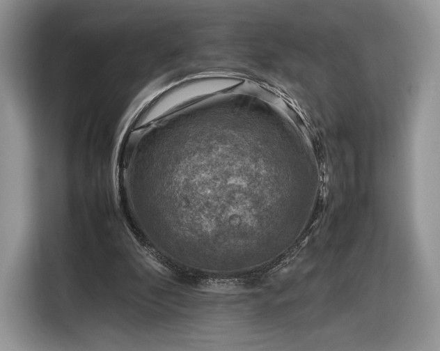 X0000116350296200912091135