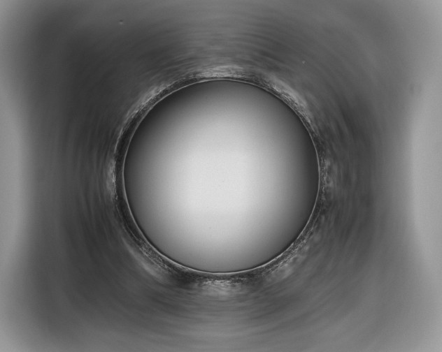 X0000116350298200912091135