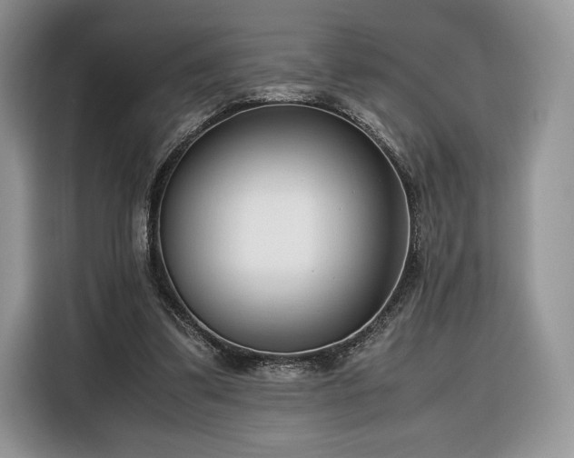 X0000116350299200912091135