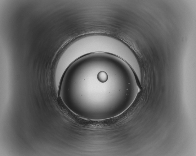 X0000116350300200912091135