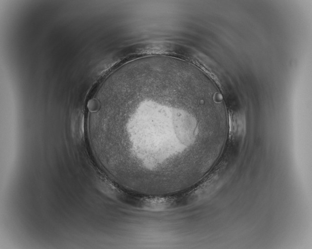 X0000116350301200912091135