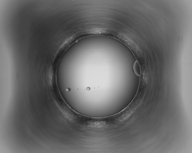 X0000116350304200912091135