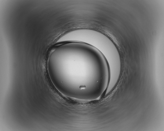 X0000116350305200912091135