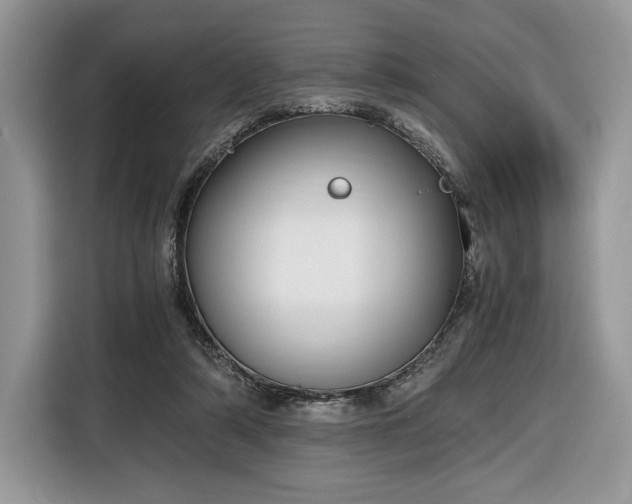 X0000116350306200912091135