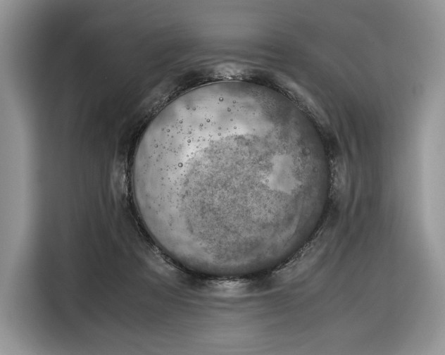 X0000116350313200912091135