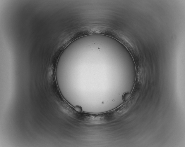 X0000116350314200912091135