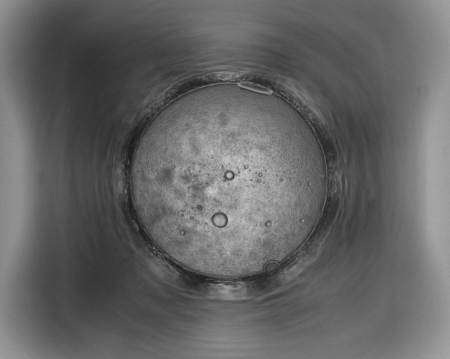 X0000116350317200912091135