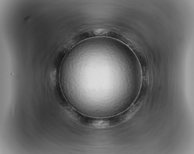 X0000116350319200912091135