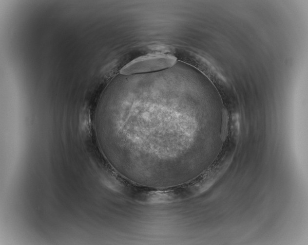 X0000116350320200912091135