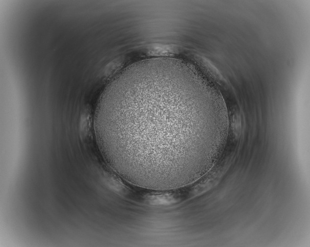 X0000116350322200912091135