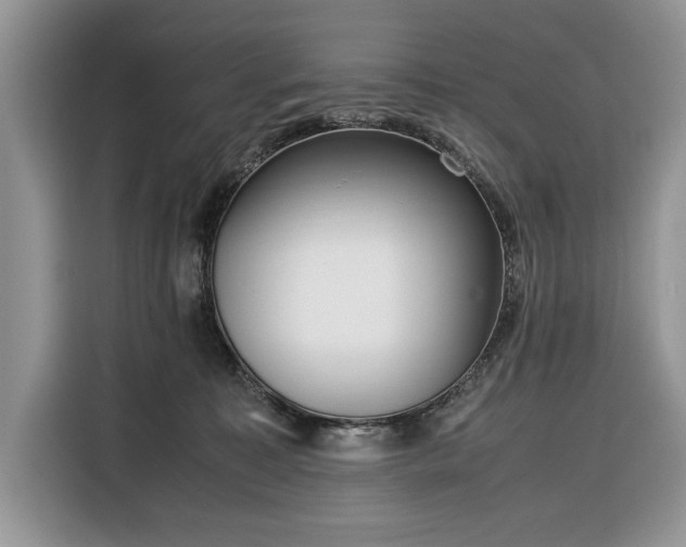 X0000116350323200912091135