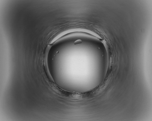 X0000116350325200912091135