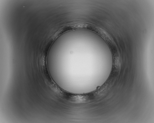 X0000116350326200912091135