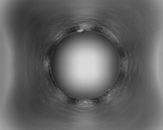 X0000116350329200912091135