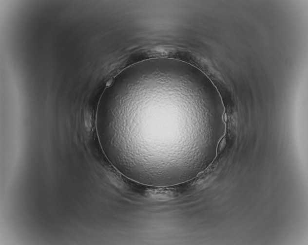 X0000116350331200912091135