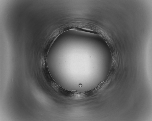 X0000116350333200912091135