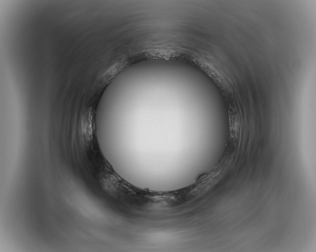 X0000116350334200912091135