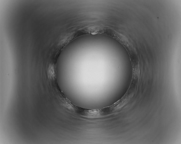 X0000116350335200912091135