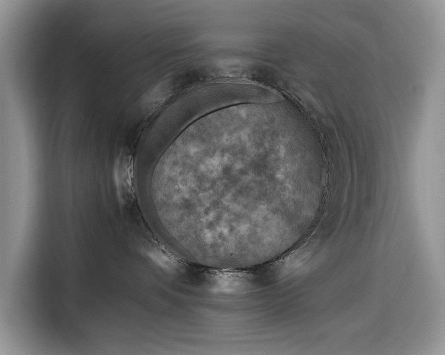 X0000116350336200912091135