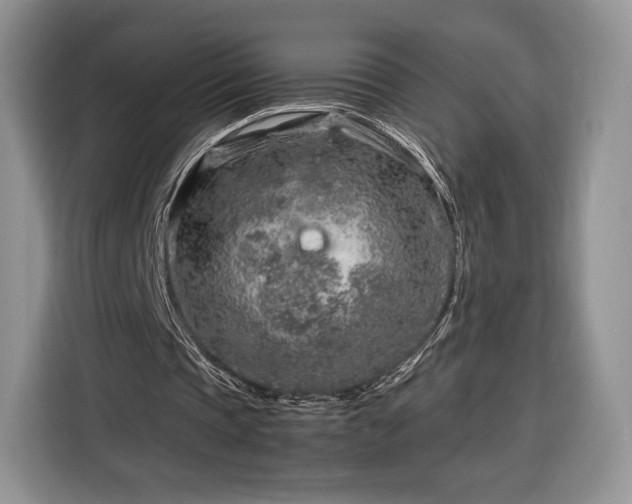 X0000116350337200912091134