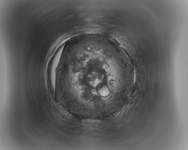 X0000116350339200912091134