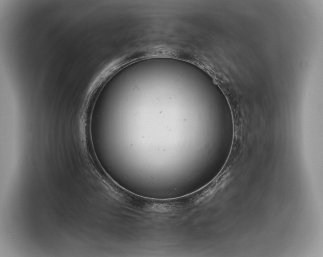 X0000116350341200912091134