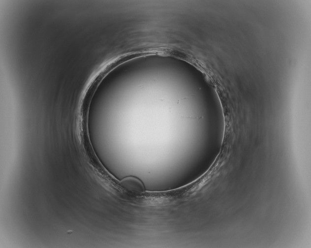 X0000116350342200912091134