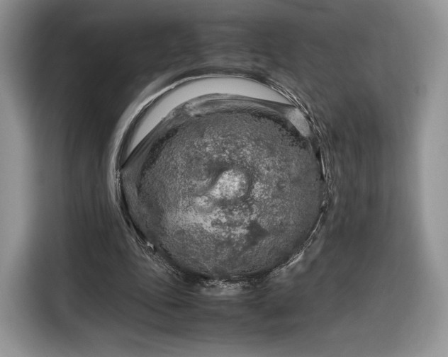 X0000116350343200912091134