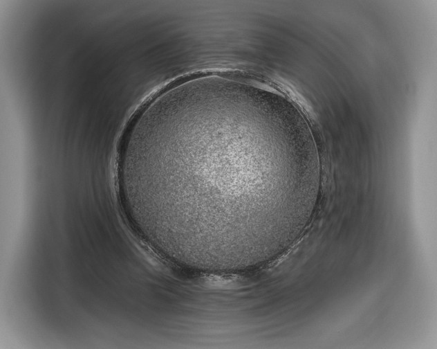 X0000116350346200912091134