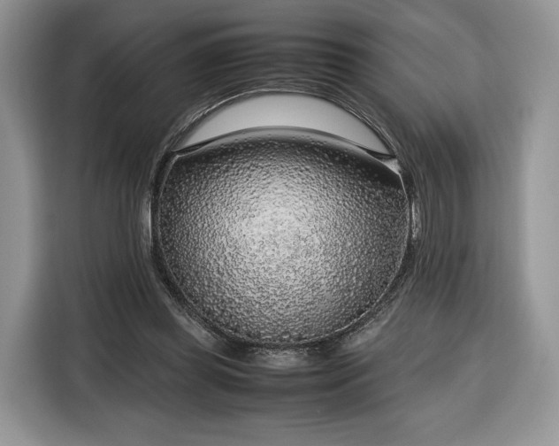 X0000116350349200912091134