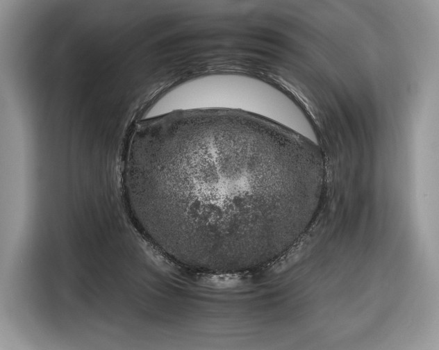 X0000116350353200912091134