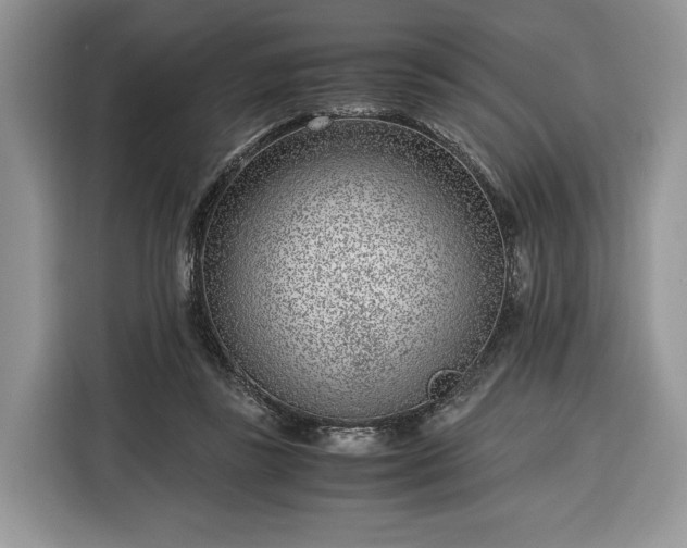 X0000116350355200912091134