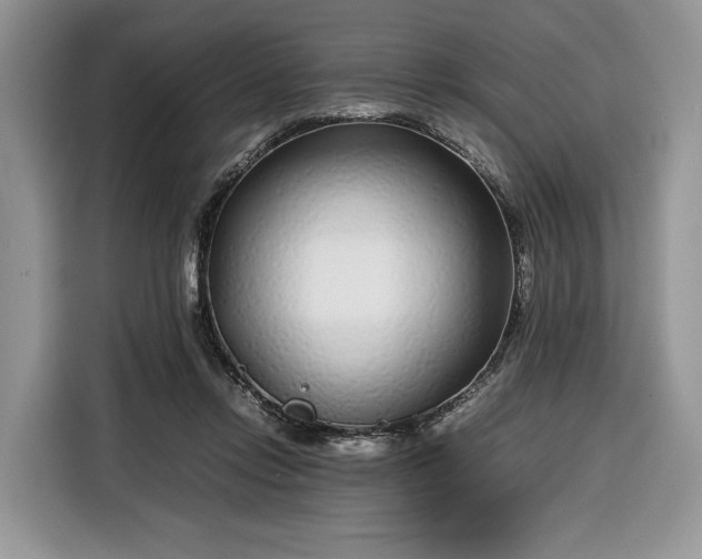 X0000116350358200912091134