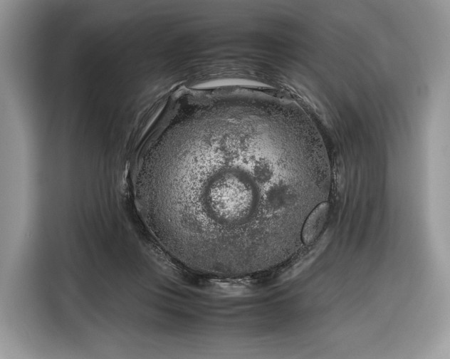 X0000116350359200912091134