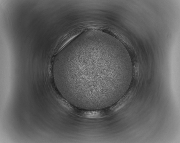 X0000116350361200912091134