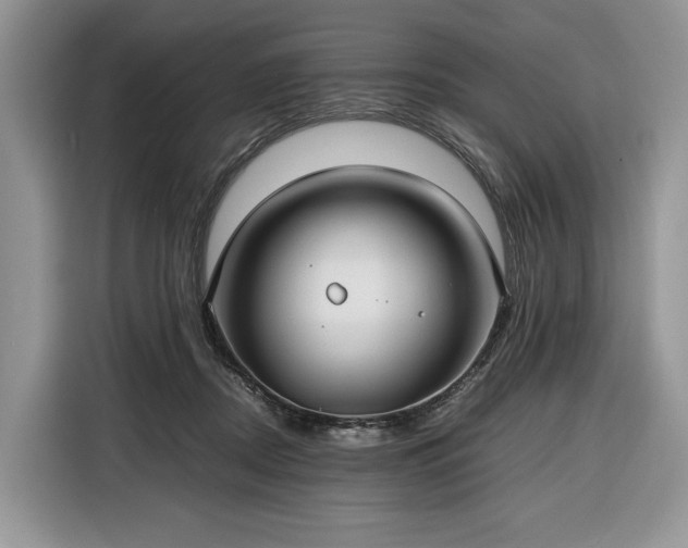 X0000116350362200912091134