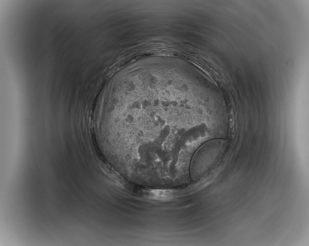 X0000116350371200912091134