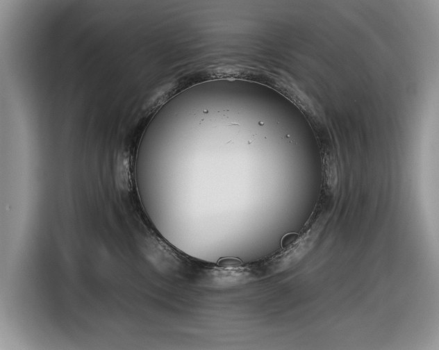 X0000116350378200912091134