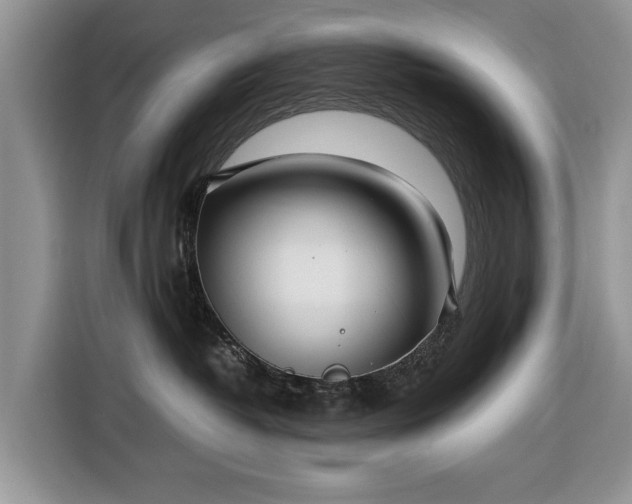 X0000116350382200912091135