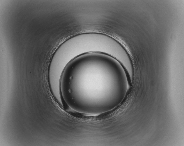 X0000116350385200912091134