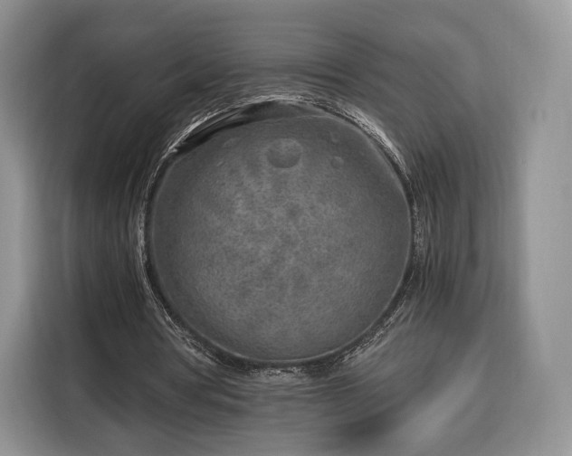 X0000116350386200912091134